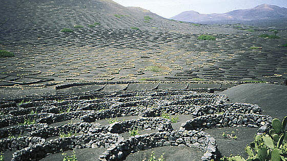 Lanzarote: Vulkanlandschaft