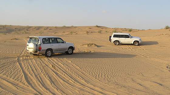 Dubai: Wüstensafari