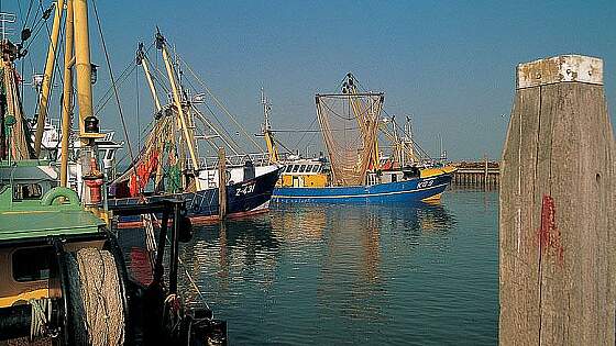 Niederlande, Zeeland: Terneuzen Hafen