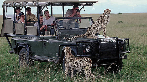 Safari in Kenia