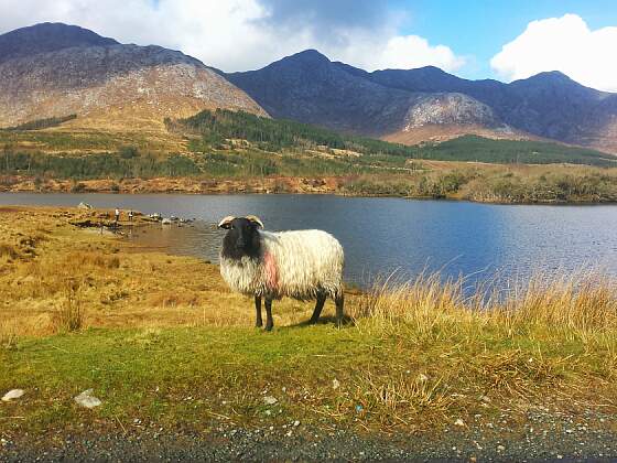 Galway, Irland: Connemara Nationalpark