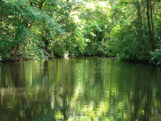 Costa Rica: Tortuguero Nationalpark