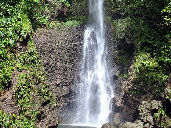 Dominica: Wasserfall im Morne Trois Pitons Nationalpark