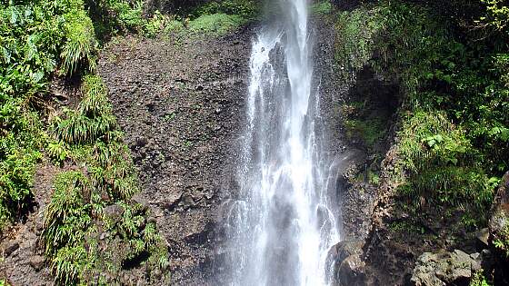 Dominica: Wasserfall im Morne Trois Pitons Nationalpark