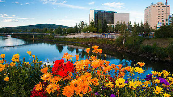 Alaska: Fairbanks - am Chena River