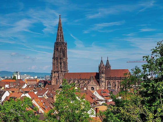 Freiburger Münster