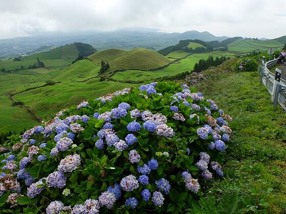 Portugal, Azoren: Insel Sao Miguel