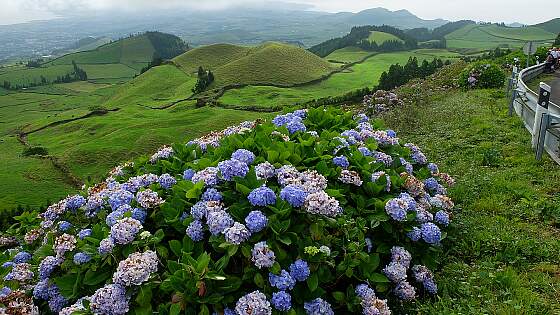 Portugal, Azoren: Insel Sao Miguel