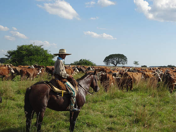 Argentinien: Gaucho in der Pampa