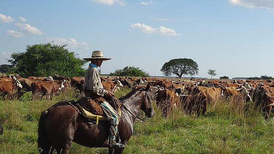 Argentinien: Gaucho in der Pampa