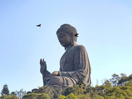 Hongkong : Tian Tan Buddha in Lantau