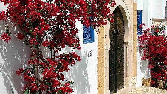 Sidi Bou Said