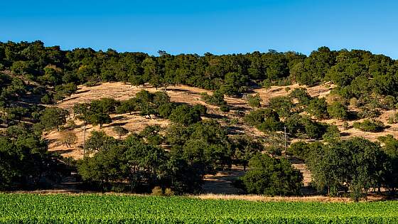 USA, San Francisco: Napa Valley