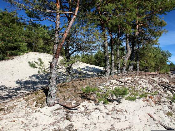 Litauen: Kurische Nehrung