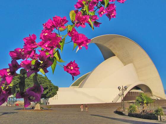 Santa Cruz de Tenerife: Auditorio de Tenerife