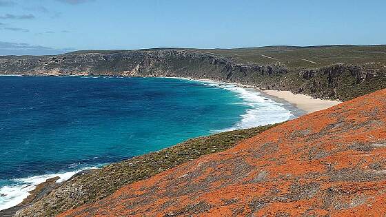South Australia, Australien: Kangaroo Island