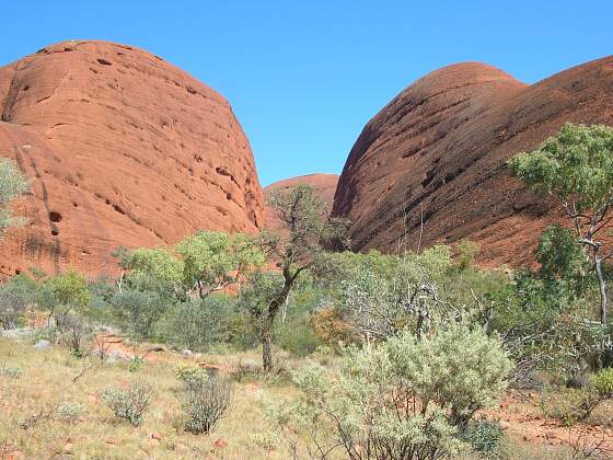 Rotes Zentrum, Australien: Blick auf die Olgas