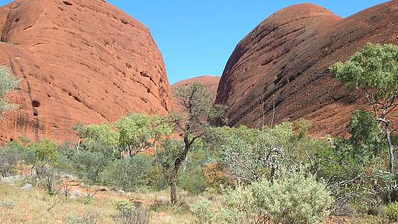 Rotes Zentrum, Australien: Blick auf die Olgas