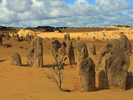 Nambung-Nationalpark, Australien: Pinnacles