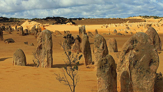 Nambung-Nationalpark, Australien: Pinnacles