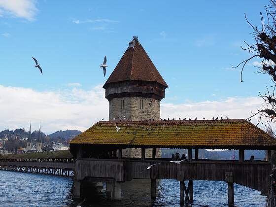 Schweiz: Kapellbrücke und Wasserturm in Luzern