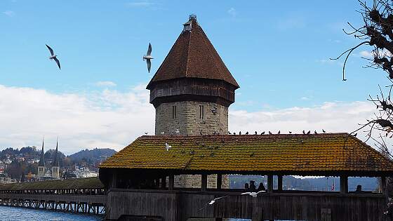 Schweiz: Kapellbrücke und Wasserturm in Luzern