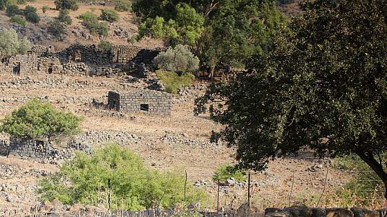 Israel: Golanhöhen