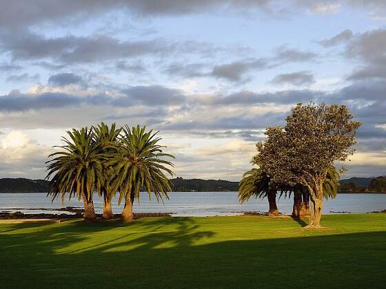 Neuseeland: Bay of Islands