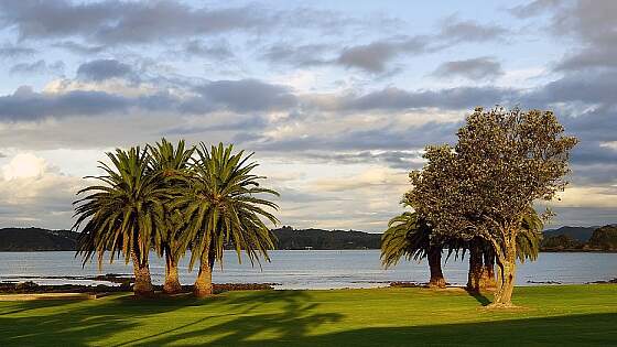 Neuseeland: Bay of Islands