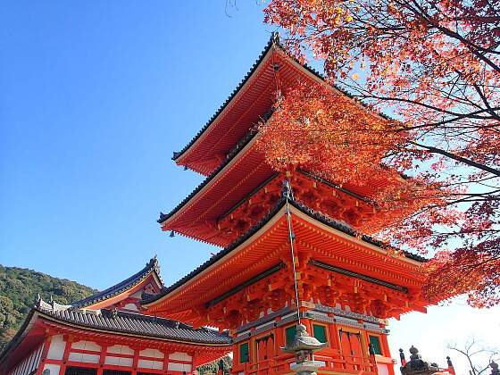 Japan: Tempel zur Herbstfärbung in Kyoto