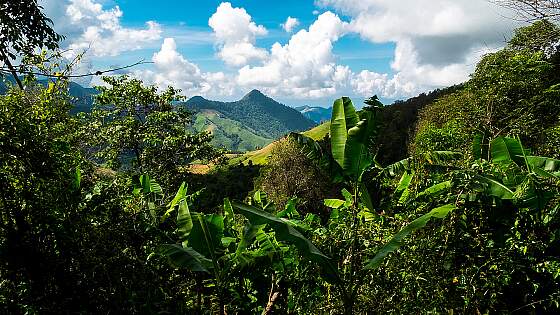  Nordthailand, Chiang Rai: Goldenes Dreieck