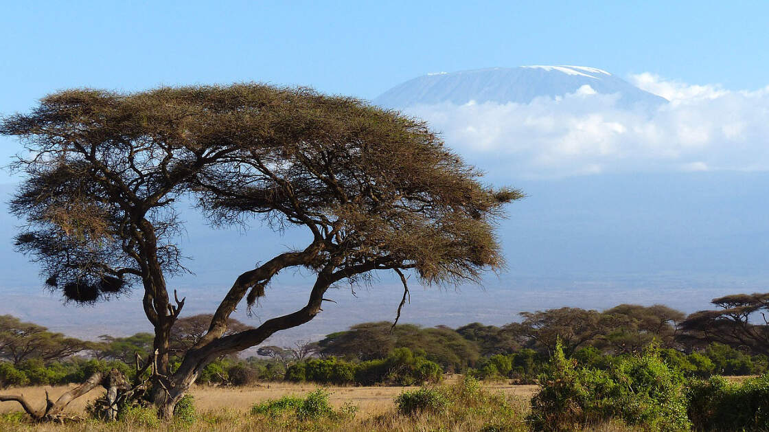 Blick auf Kilimanjaro vom Amboseli Nationalpark