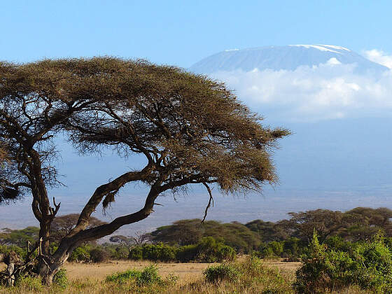 Blick auf Kilimanjaro vom Amboseli Nationalpark