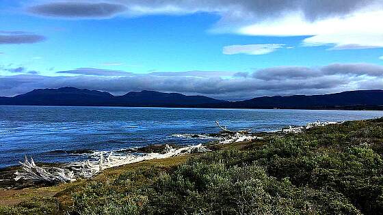 Chile: Punta Arenas, Patagonien 