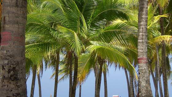 Kolumbien: Strand in San Andres
