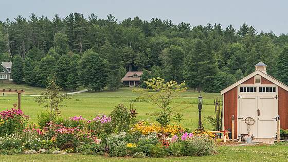 USA: Wälder in Vermont