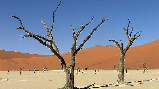 Namibia: Sossusvlei in der Namib