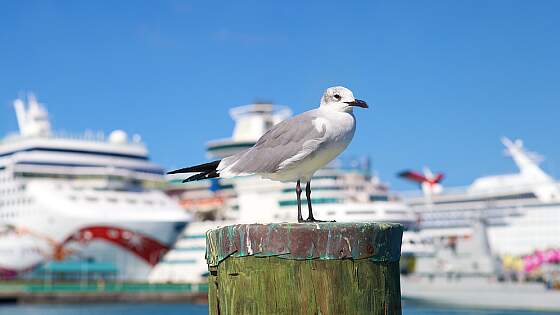 Bahamas: im Hafen von Nassau