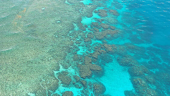 Great Barrier Reef, Australien