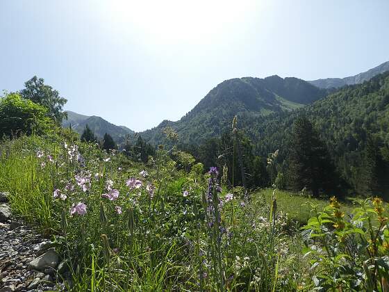 Andorra Tal