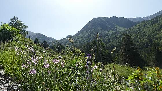 Andorra Tal