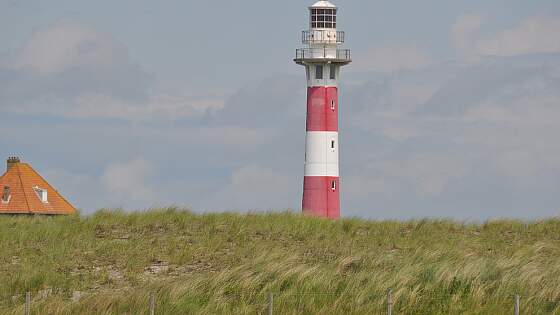 Flämische Küste: Nieuwpoort Leuchtturm