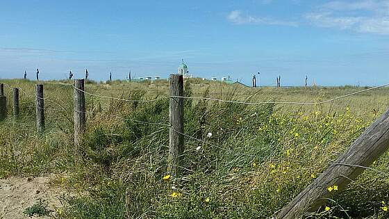 Niederlande: Dünen von Noordwijk