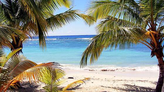 Dominica: Mero Beach