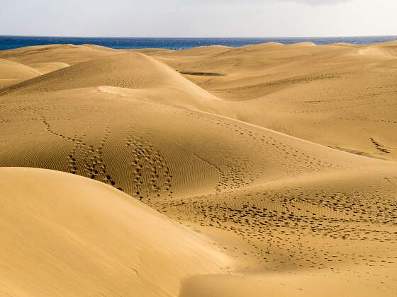 Gran Canaria: Wanddünen Maspalomas