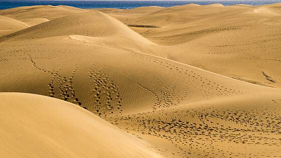 Gran Canaria: Wanddünen Maspalomas