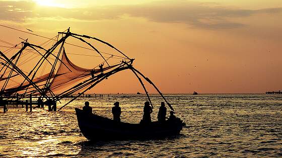Cochin, Indien: Fischer