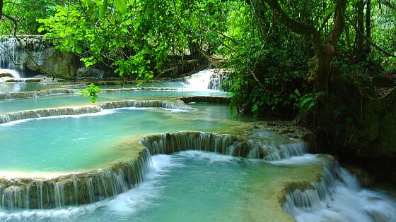 Luang Prabang: Wasserfall Kuang Si