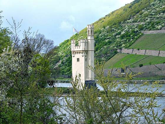 Mäuseturm bei Bingen