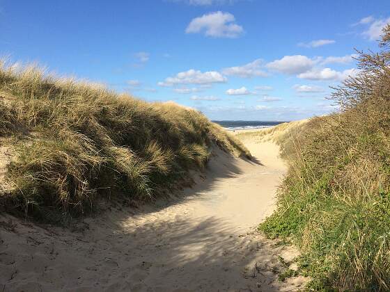 am Strand von Zeeland in Holland